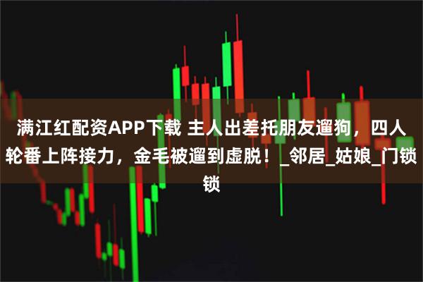 满江红配资APP下载 主人出差托朋友遛狗,四人轮番上阵接力,金毛被遛到虚脱!_邻居_姑娘_门锁