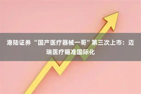 港陆证券 “国产医疗器械一哥”第三次上市：迈瑞医疗瞄准国际化